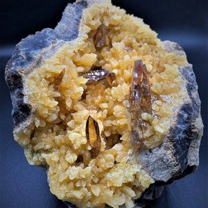 Meet your Posher, Karen